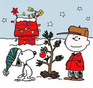 Charlie Brown's Christmas tree was beautiful in his eyes!