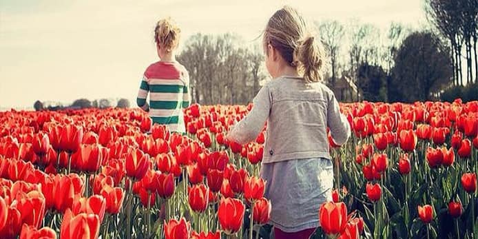 What are pollinators? Girls run through the red tulips.