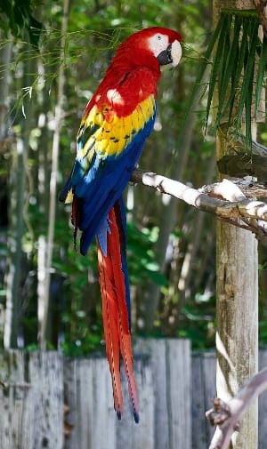 Large | secure your home in South Africa in the 70s!