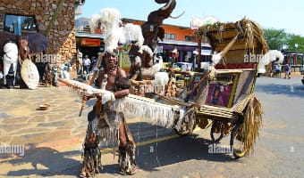 Zulu with rickshaw 340x200 1 | South Africa in the 1970s!