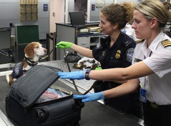 Who does not like customs? They are there for our safety.